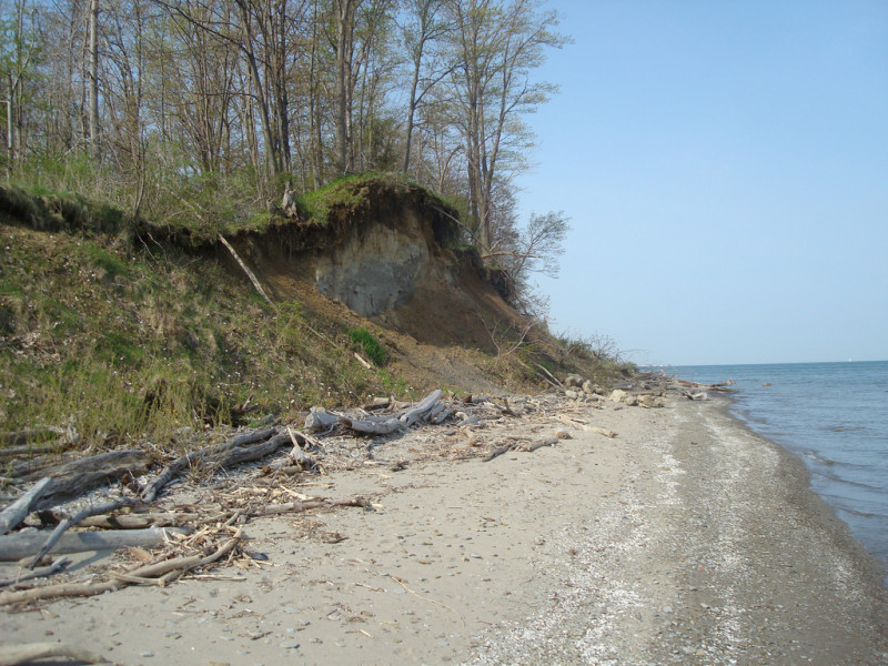 Great Lakes Sparsely Vegetated Shore